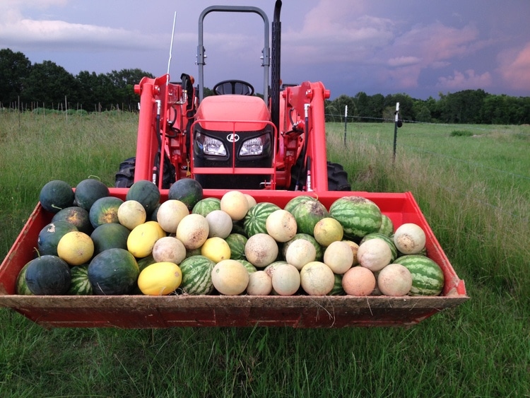 Two Dog Farms Makes the Sustainable Farm Profitable