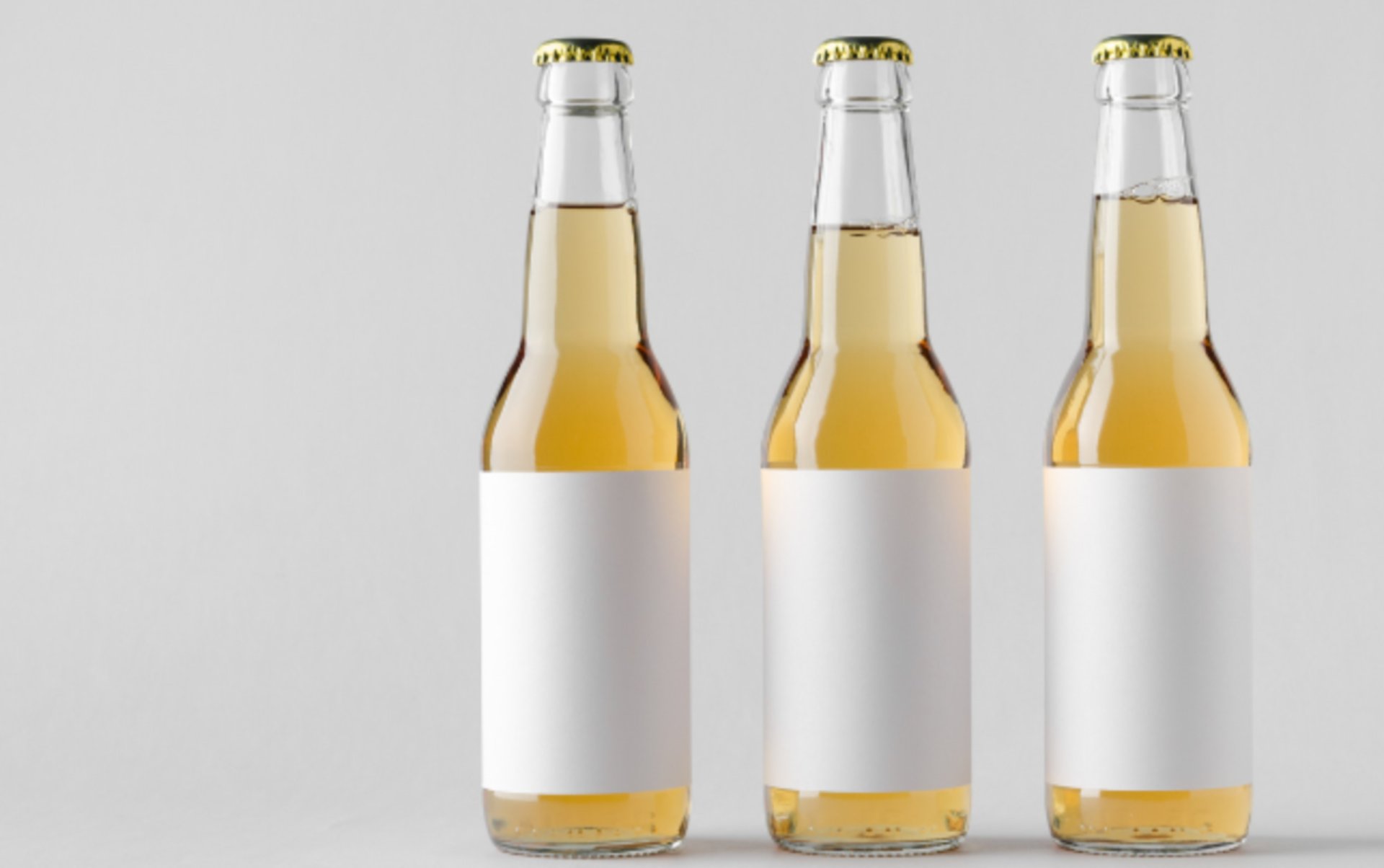 Beer bottles with blank labels