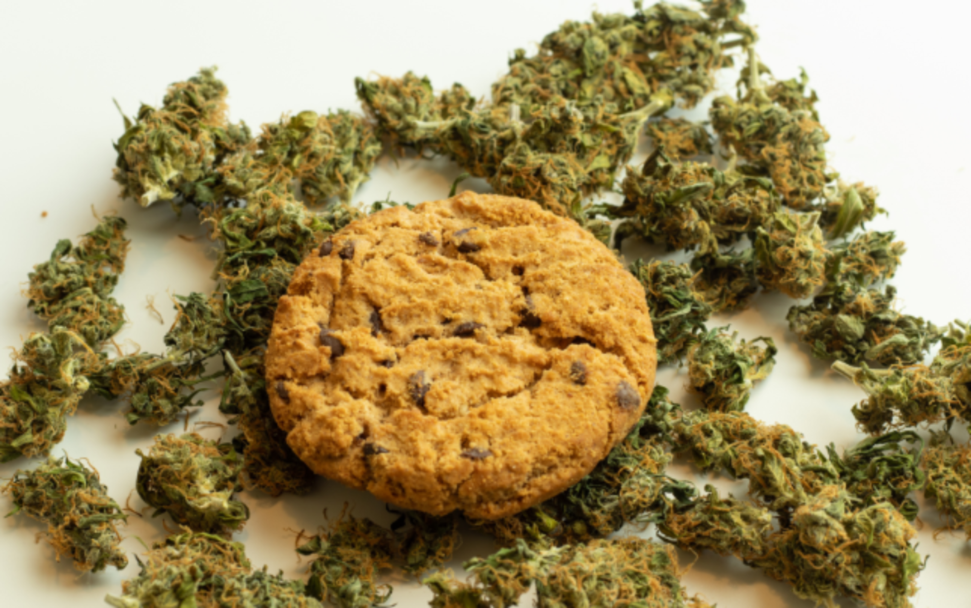 No Clear Path for Cannabis in Food and Beverage Products thumbnail
